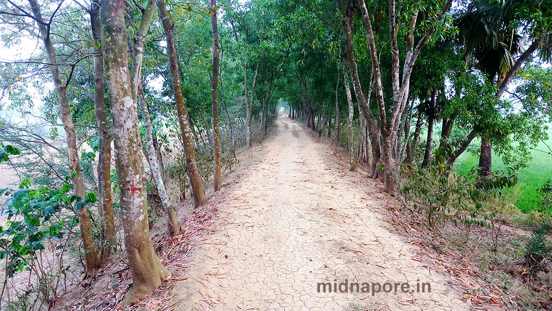 কলাইচন্ডি'র উৎস সন্ধানে | In search of-the source of Kalaichandi canal