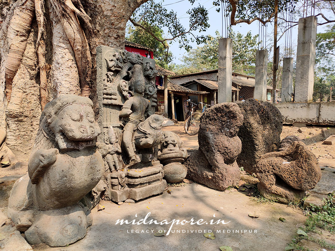Revanta in Kakrajit, Dantan (Near Mughalmari) | Raivata | रेवन्त | রেবন্ত, কাকরাজিত