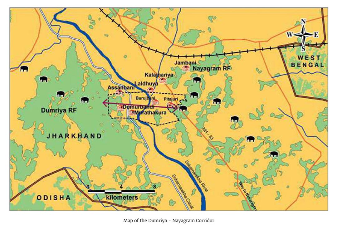 মেদিনীপুরের হাতি, অবহেলা ও উদ্বেগ | Elephent of Medinipur, negligence and concern