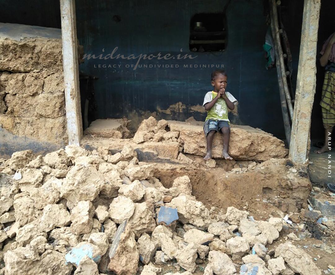 মেদিনীপুরের হাতি, অবহেলা ও উদ্বেগ | Elephent of Medinipur, negligence and concern