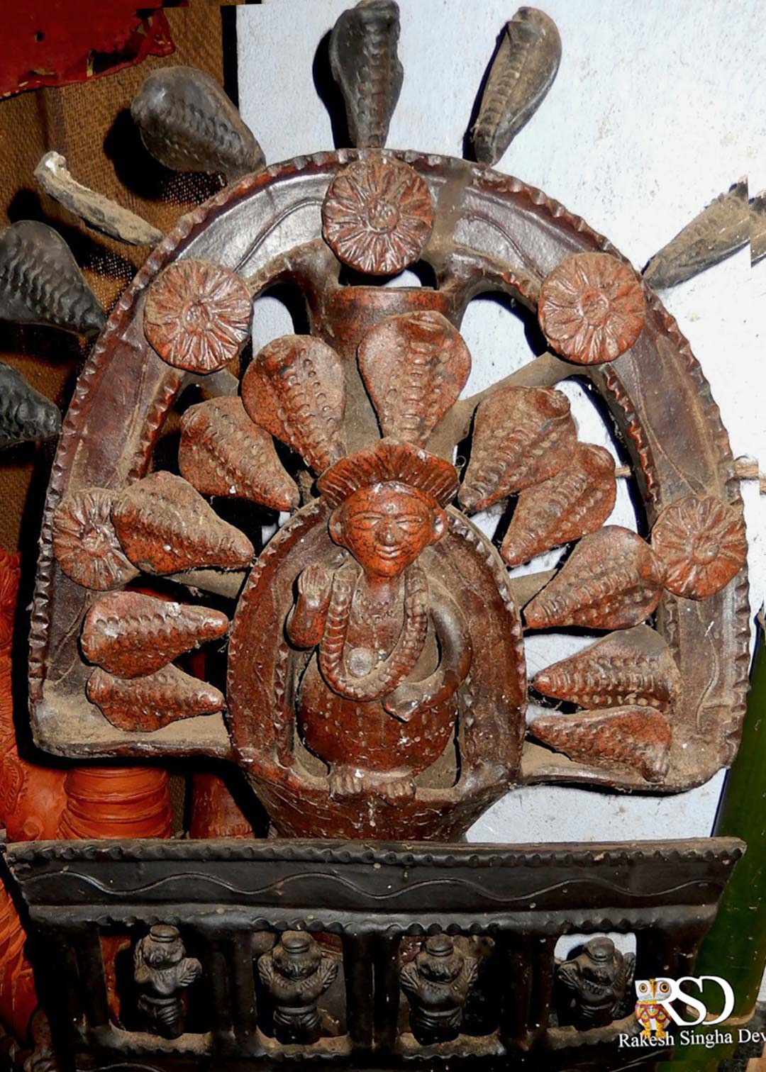 Monocled Cobra, Monocellate Cobra, Naja kaouthia, কেউটে সাপ। 