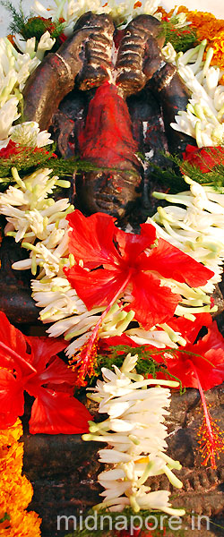 Rasmela �  Moyna Garh, East Medinipur. Photo: Arindam Bhowmik