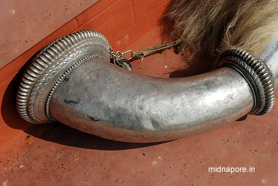 'Singa' - A typical musical instrument can be heard from long distance � generally used before an announcement. Panchetgarh, Photo: Arindam Bhowmik 